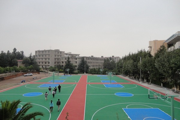 塑膠材料籃球場(chǎng)